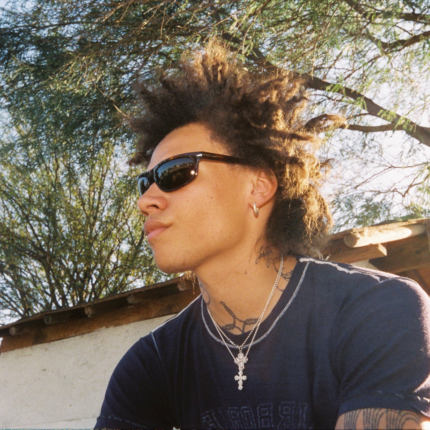 HEAT // TORTOISE / POLARIZED OLIVE