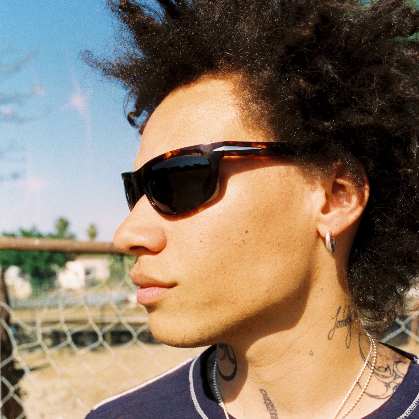 HEAT // TORTOISE / POLARIZED OLIVE