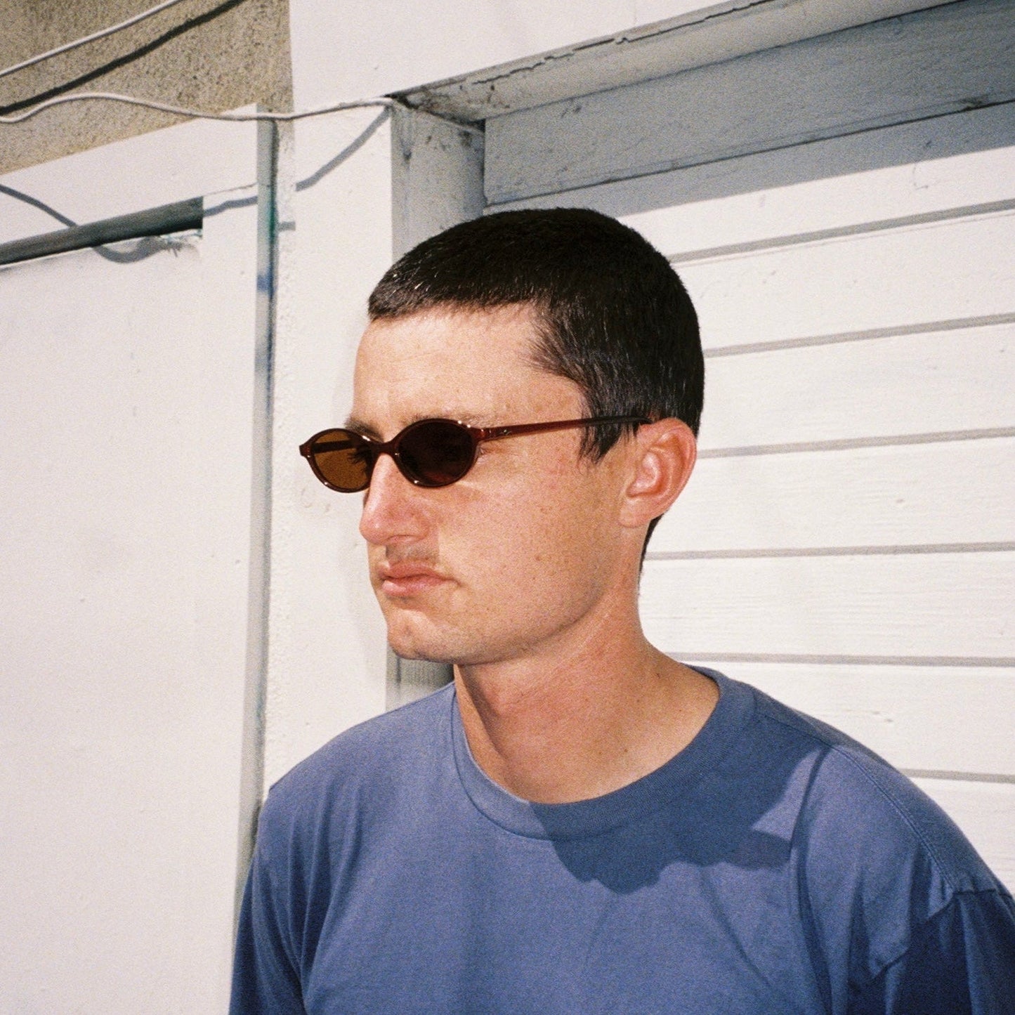 CELESTE // TOBACCO / BRONZE LENS